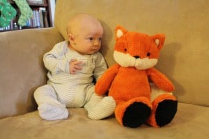 Baby Samuel with his fox