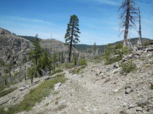 Rocky trail outside of Robinson Flat on the Western States trail