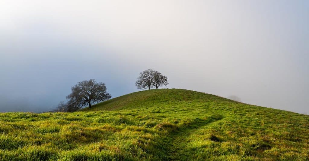 California foothills, returning to running after an injury