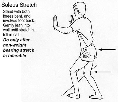 Illustration of the Soleus stretch