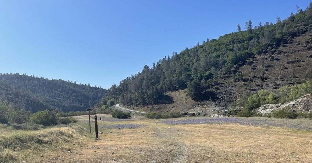 Featured image for the 2021 FOURmidable 35k race report article