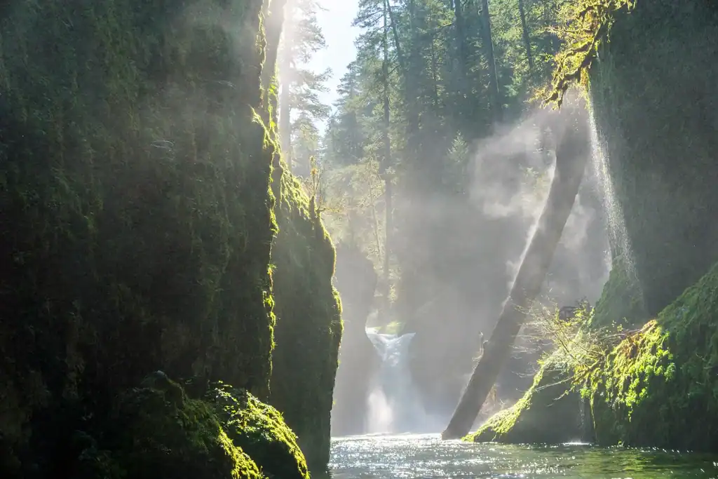 Sunlight passing through a waterfall in the Columbia River Gorge in Oregon
