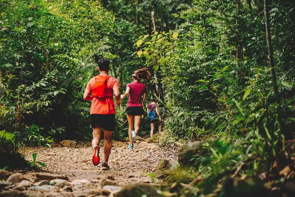 runners along 50k ultramarathon course