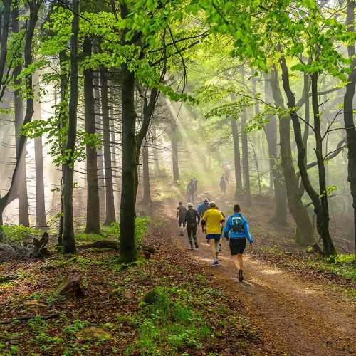 100 mile running training plan