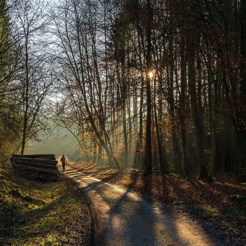 100k running plan - Sunrise Running Company