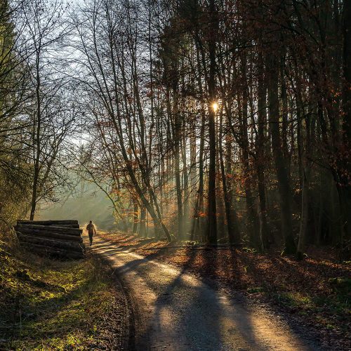 100k running plan - Sunrise Running Company