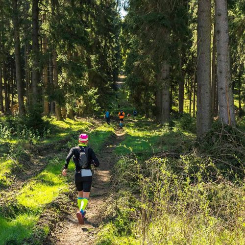 training plan for a 50k, 50k ultramarathon training plan